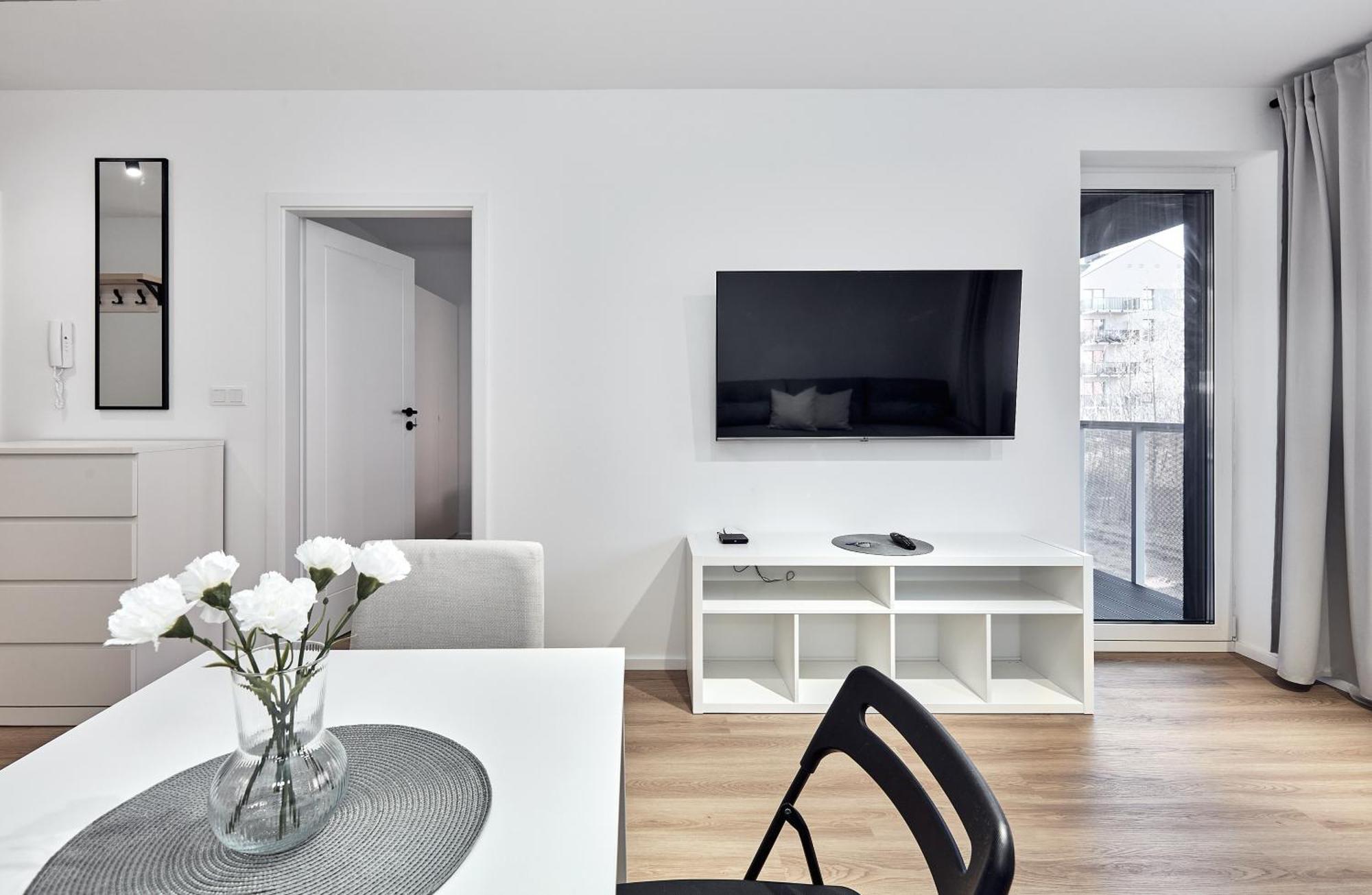 Apartment Sielawy Modern *