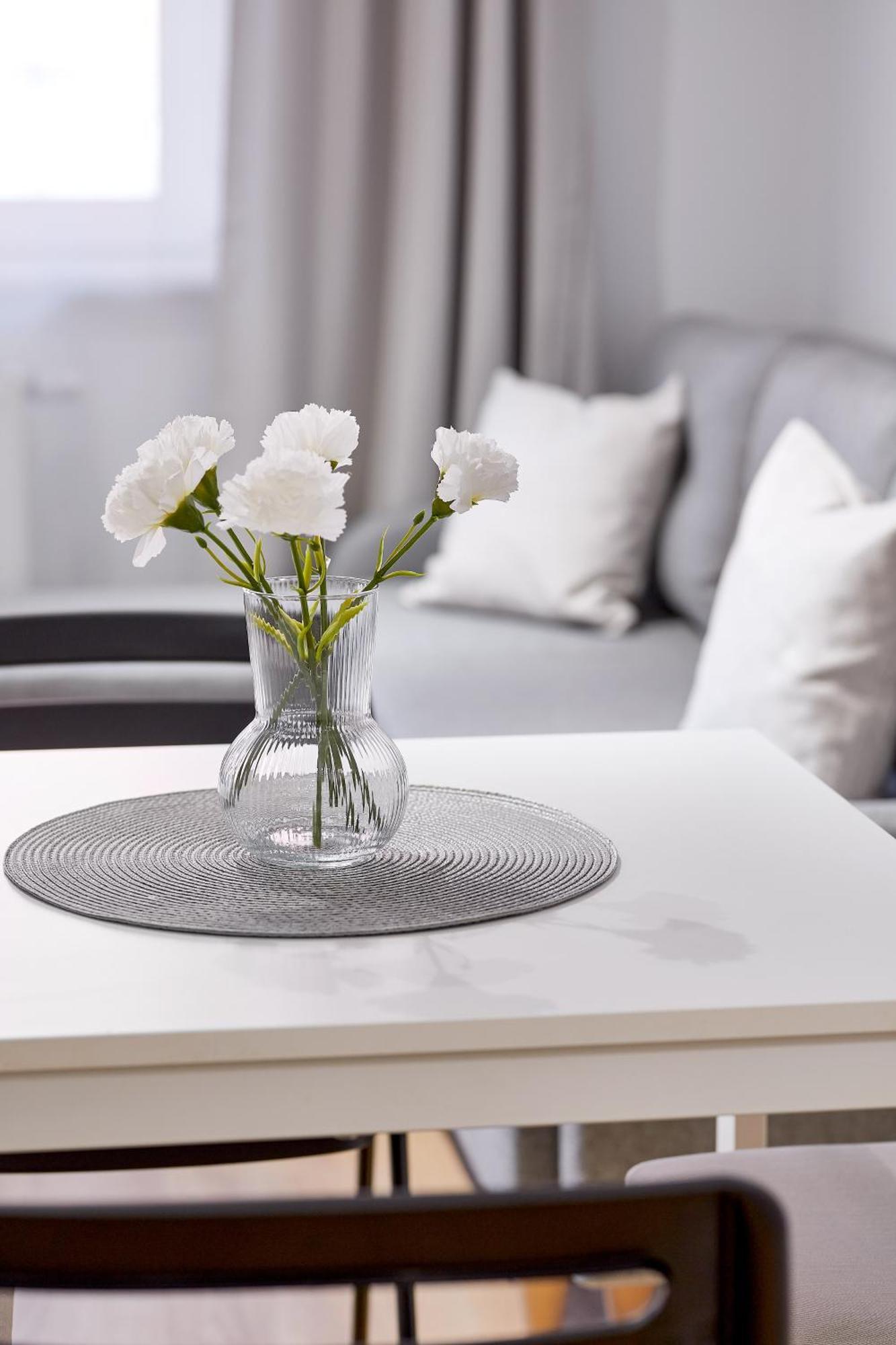Sielawy Modern Apartment